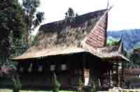 sonangniroha